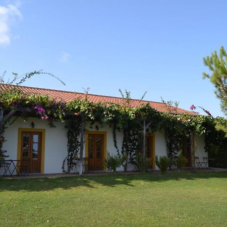 Casa De Campo Vale Do Asno ألتورا المظهر الخارجي الصورة